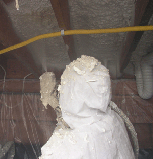  LA crawl space insulation